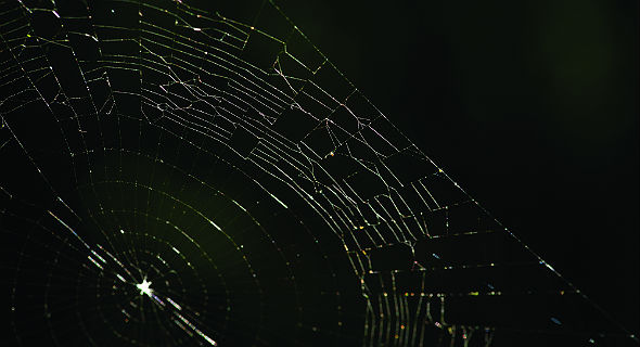 Teia_43-teias_cortada