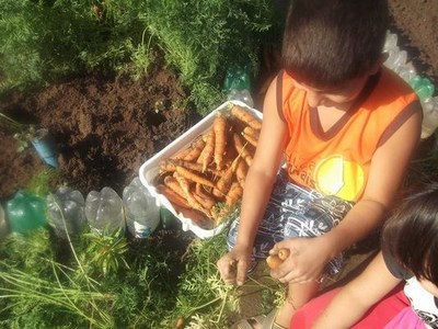 Horta