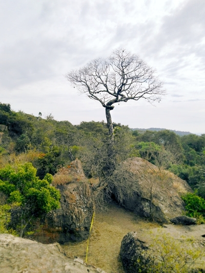 Whatsapp_image_2018-06-17_at_20.18.00